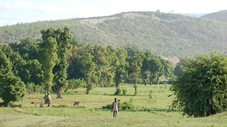 Green fields and hills of the Artibonite countryside